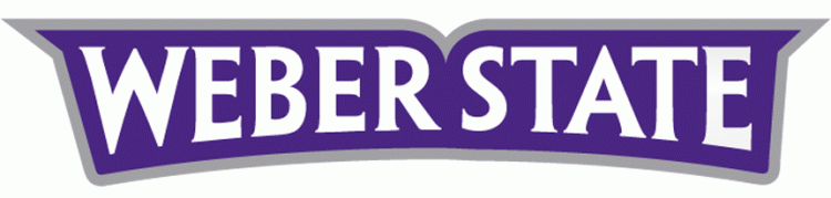 Weber State Wildcats 2012-Pres Wordmark Logo iron on transfers for clothing